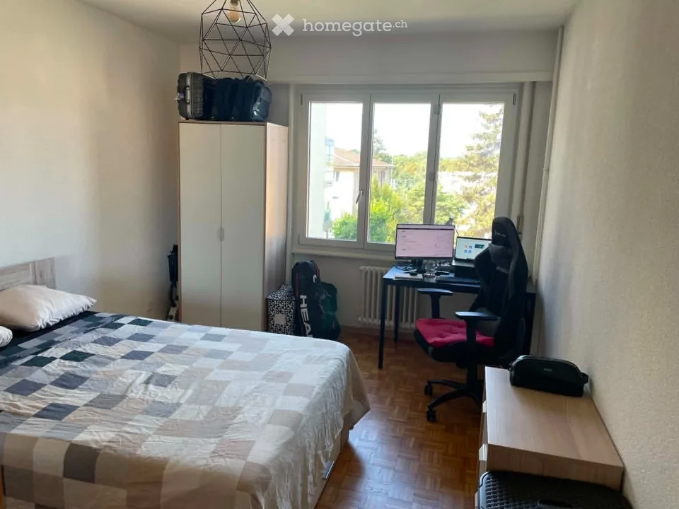 Apartment 2.5 rooms near the lake - Vidy