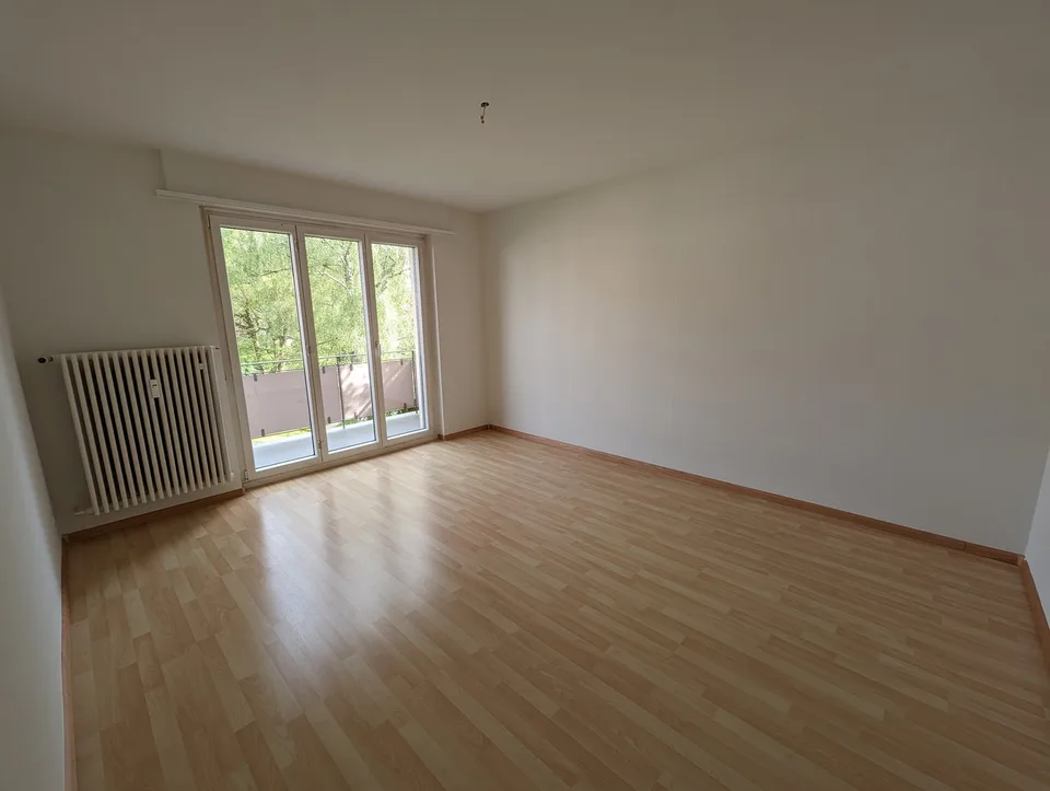 Bello appartamento di 4 locali con 2 balconi ad Arlesheim – foto 6 di 10