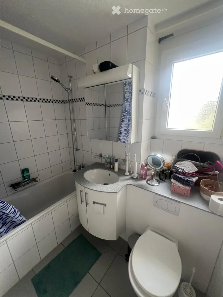 Charming 3.5-room apartment with balcony and view in Lucerne