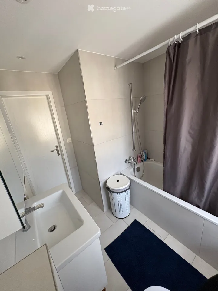 Maison mitoyenne rénovée de 5,5 pièces avec studio, jardin d'hiver et pompe à chaleur – photo 3 sur 17