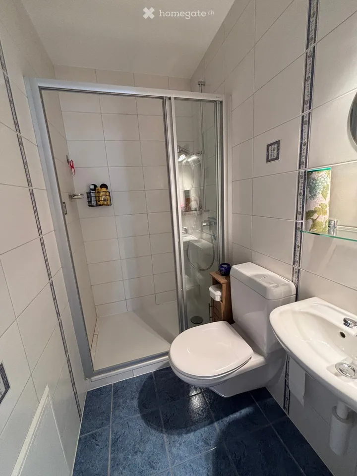 Appartement attique de 3.5 pièces avec vue sur le lac à Grandson