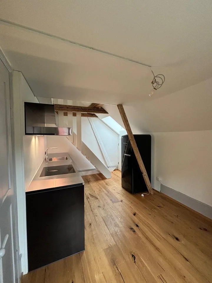 Modern 2.5-room gallery apartment in the Monbijou / Weissenbühl quarter