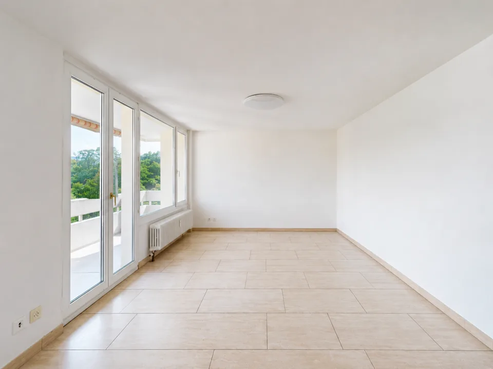 Living with a view, bright 3.5-room apartment in Augst