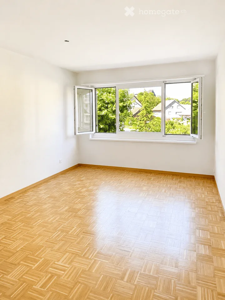 Charming 2.5-room apartment in Lindenhof, Effretikon