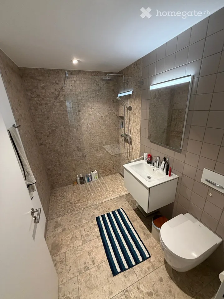 Modern 4.5-room apartment on Seestrasse 9 in Horgen