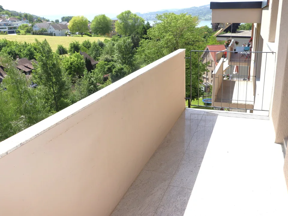Prima locazione dopo ristrutturazione totale - appartamento 3.5 locali spazioso con balcone – foto 11 di 12