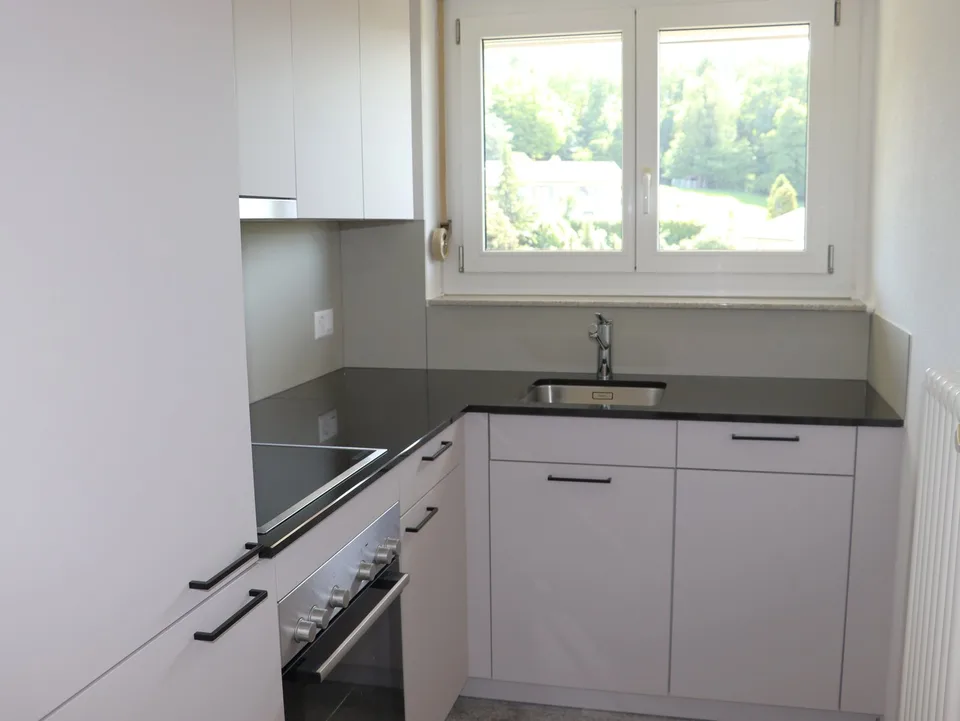 Première location après rénovation complète - appartements 2 pièces spacieux avec balcon