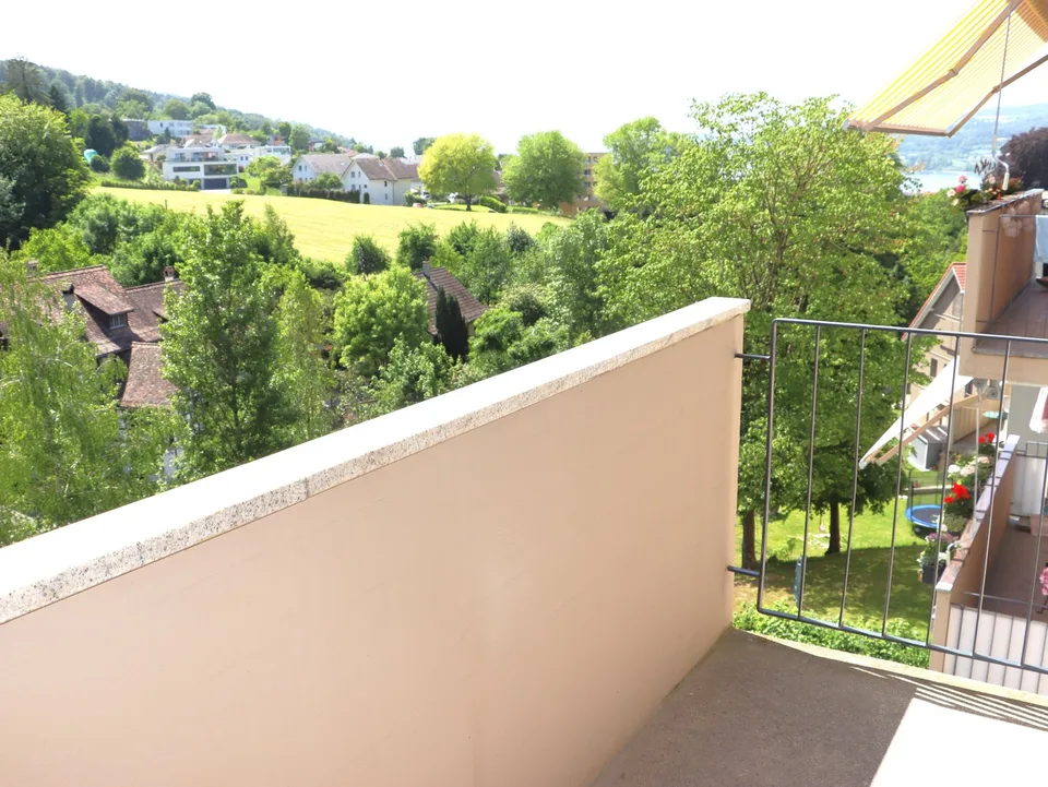 Prima locazione dopo ristrutturazione completa - appartamenti 2 locali spaziosi con balcone – foto 8 di 8