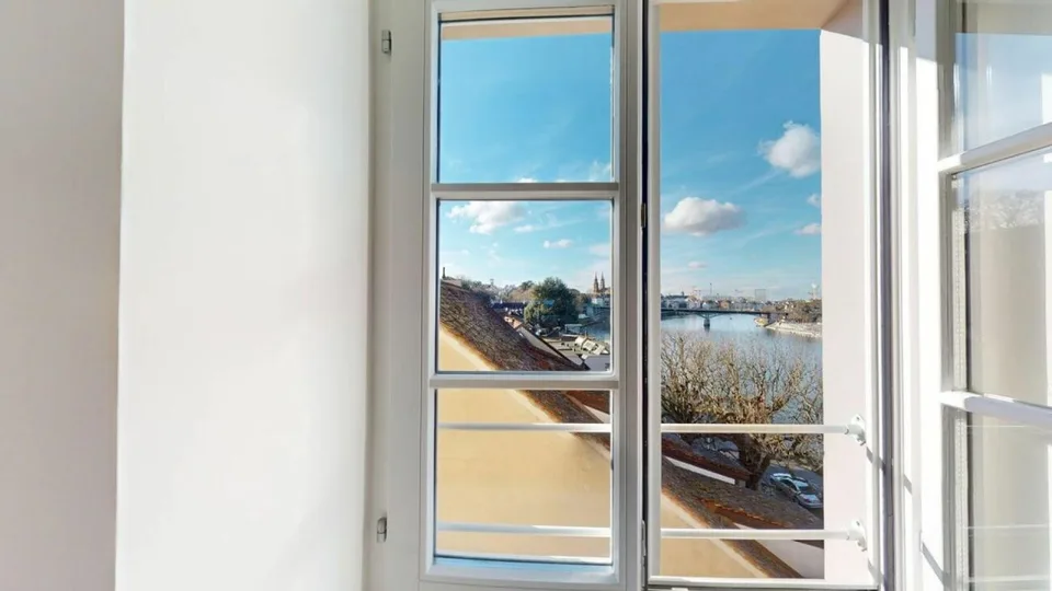 Living Directly on the Rhine in the St. Alban-Tal