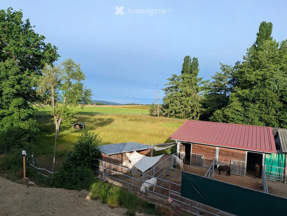 Esclusiva casa unifamiliare di 6 locali con standard di costruzione di alta qualità a Neuwilen TG