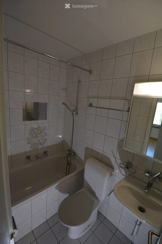 Beautiful 3.5-room apartment in Brugg, 1st floor, with dishwasher