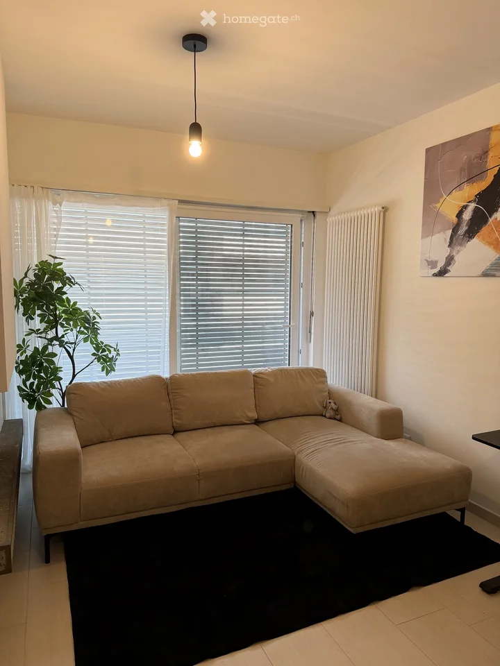 Furnished 2.5-room apartment with balcony, sublet for 3 months, Lugano