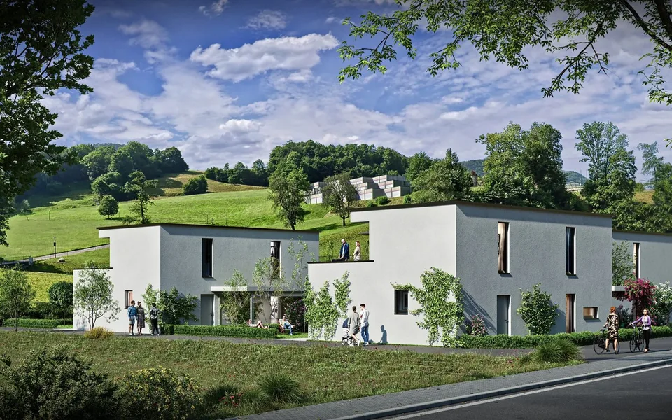 Exklusives Neubauprojekt in Zullwil - Wohnen nach Ihren Vorstellungen (C)