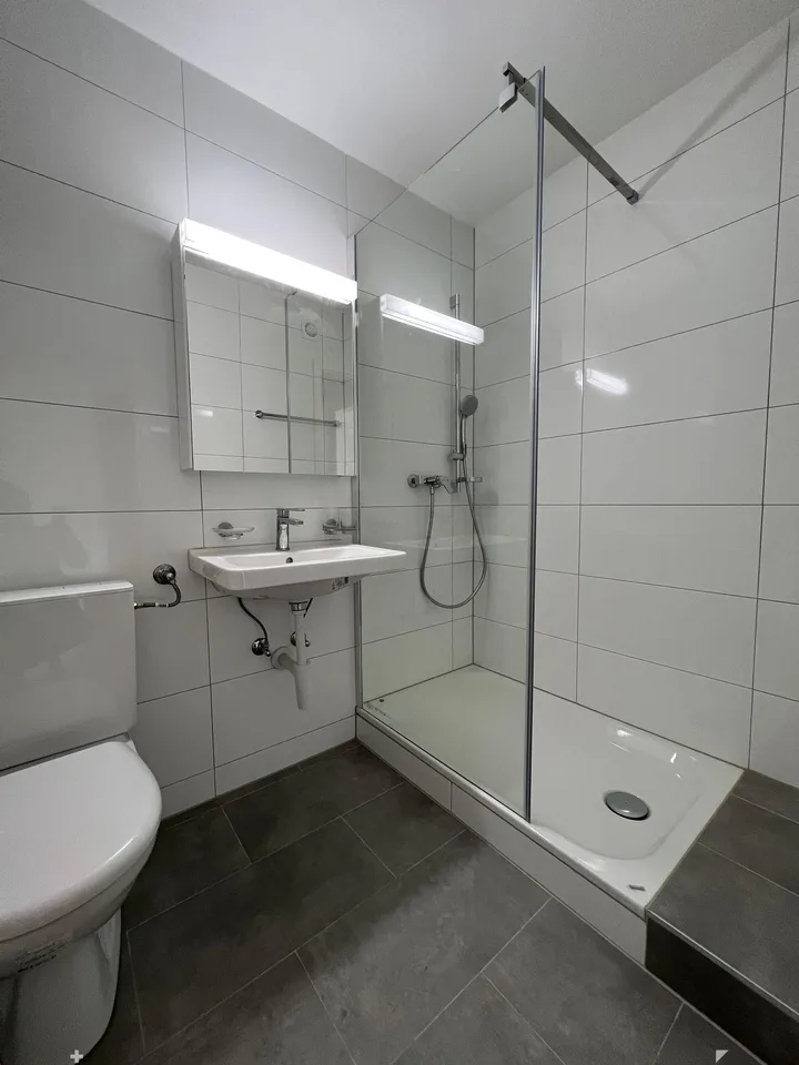 Appartement 1 1/2 pièces complètement rénové avec cuisine ouverte et balcon