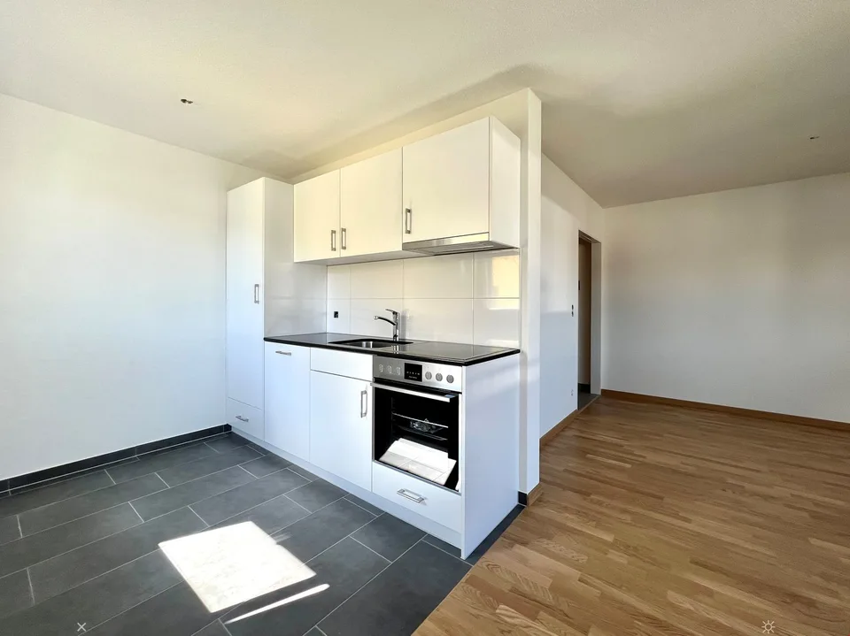 Appartement 1 1/2 pièces complètement rénové avec cuisine ouverte et balcon