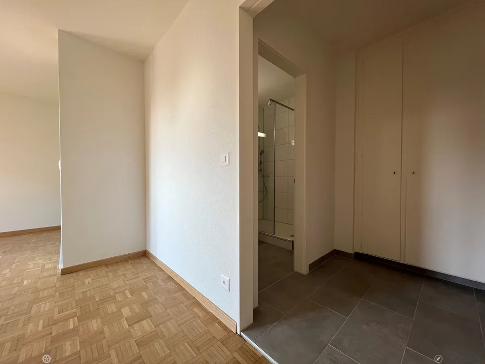 Appartement 1 1/2 pièces complètement rénové avec cuisine ouverte et balcon