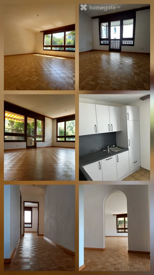 Appartement avec jardin de 350 m² au cœur de Mumpf