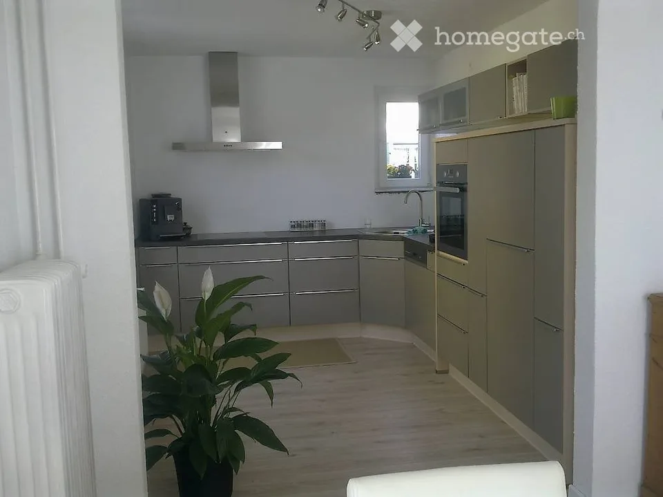 Spacious, bright 2.5-room apartment with large terrace