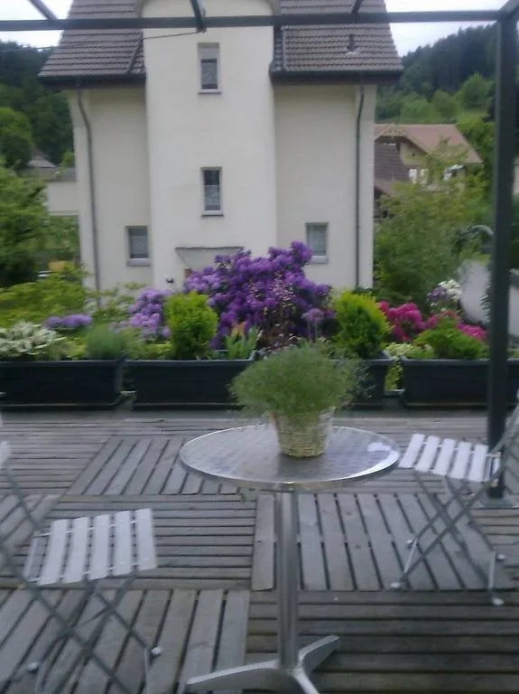 Spacious, bright 2.5-room apartment with large terrace