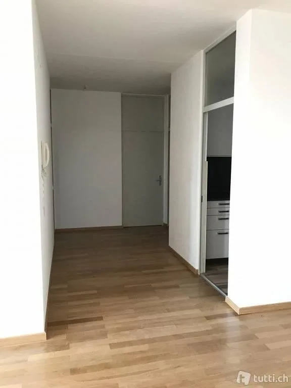 Appartamento da poco rinnovato - zona Ravecchia, Bellinzona
