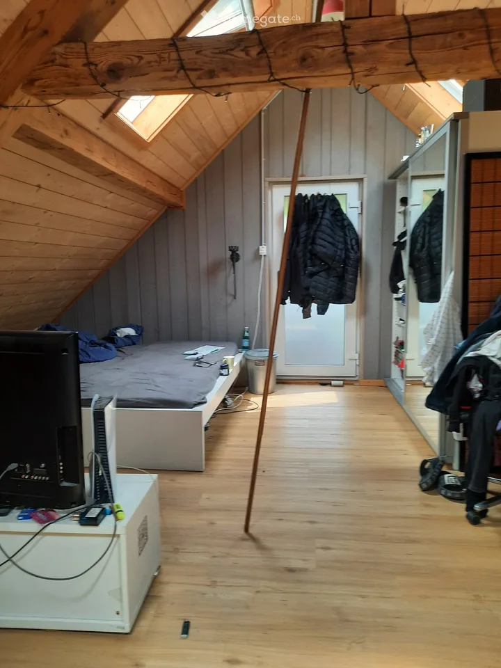 Tenant wanted from October