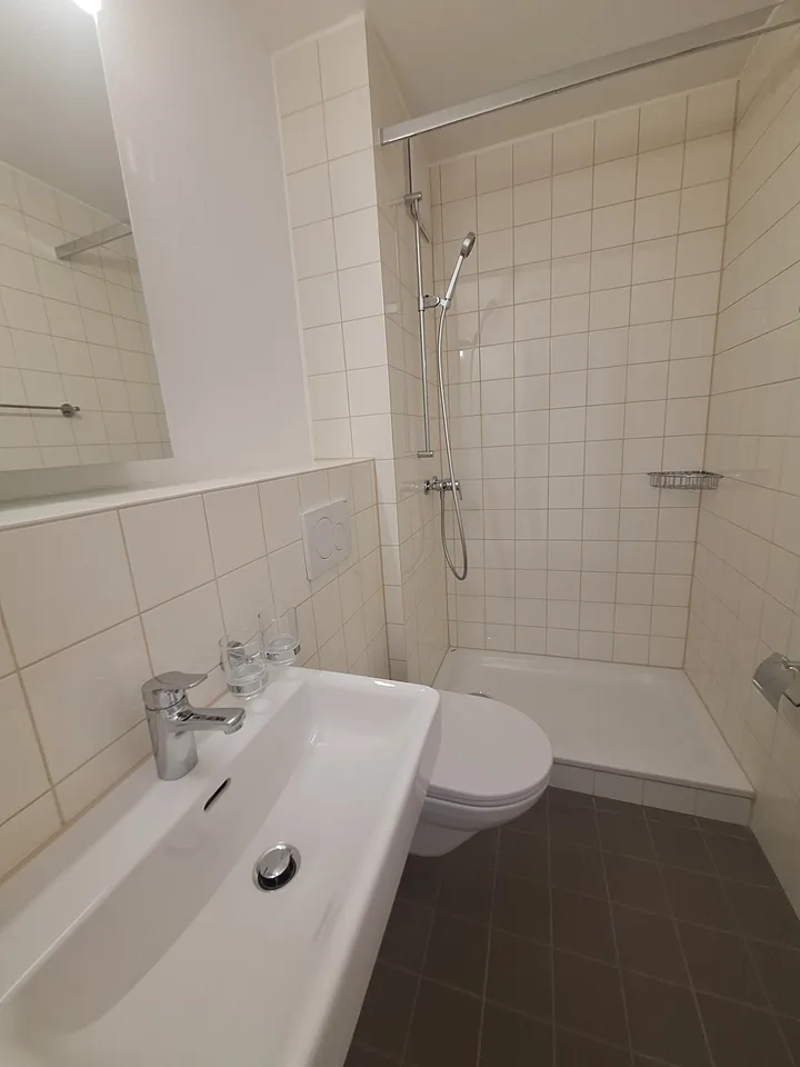 Newly renovated 1-room apartment