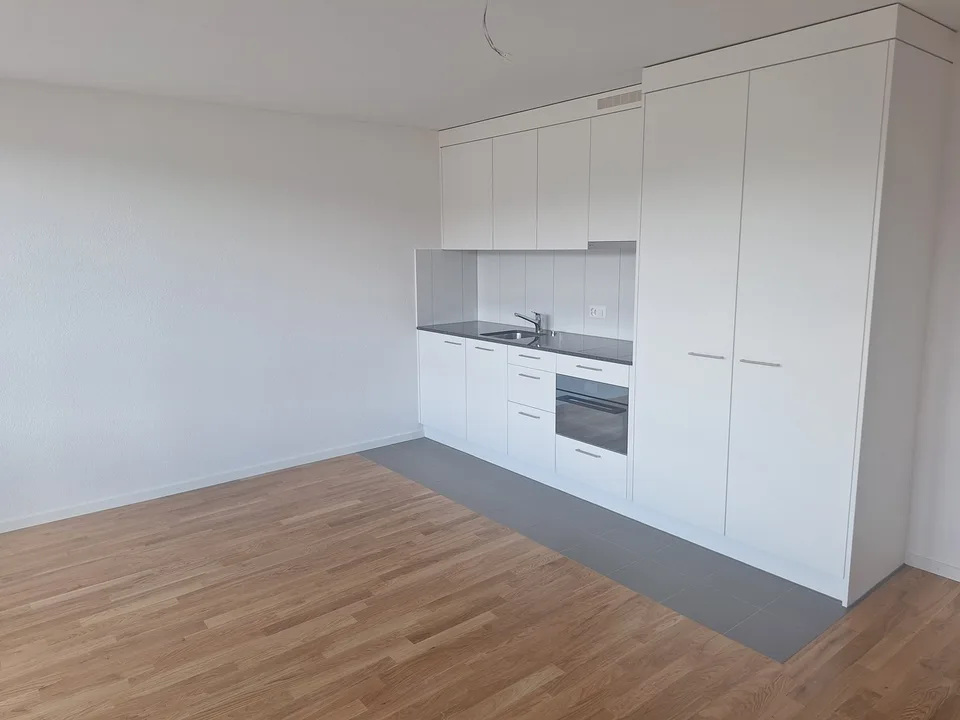 neu renovierte 1-Zimmer-Wohnung