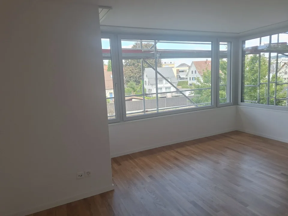 Newly renovated 1-room apartment