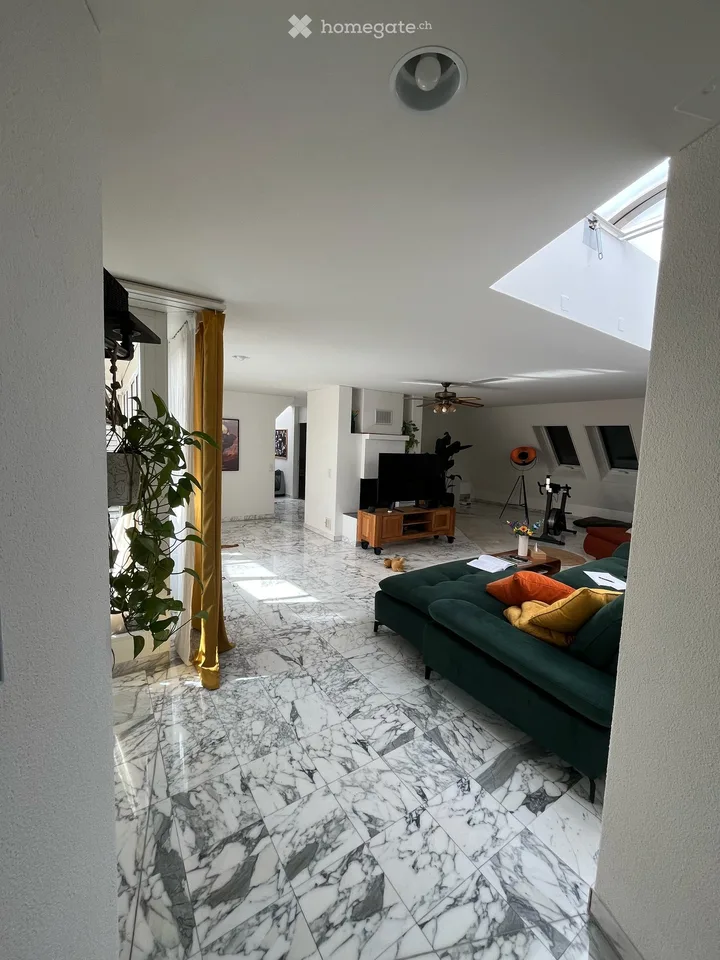 Helle 171 m² 4.5-Zimmer-Wohnung mit Cheminée und Balkon, mitten in Luzern