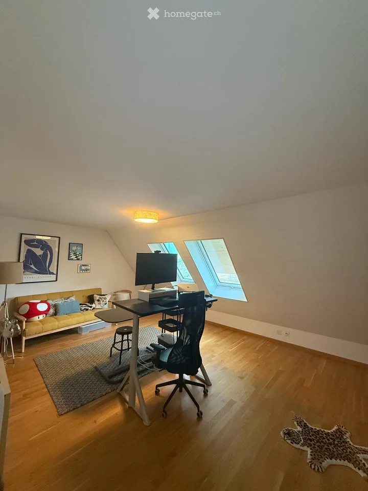 Helle 171 m² 4.5-Zimmer-Wohnung mit Cheminée und Balkon, mitten in Luzern