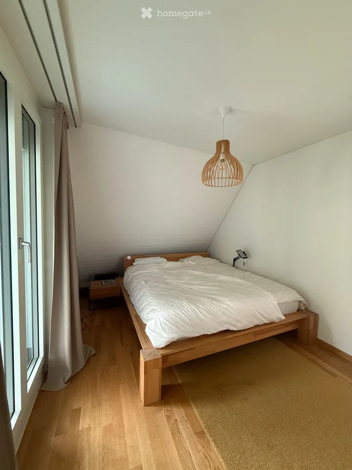 Helle 171 m² 4.5-Zimmer-Wohnung mit Cheminée und Balkon, mitten in Luzern