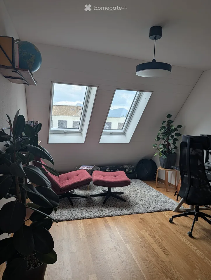 Helle 171 m² 4.5-Zimmer-Wohnung mit Cheminée und Balkon, mitten in Luzern