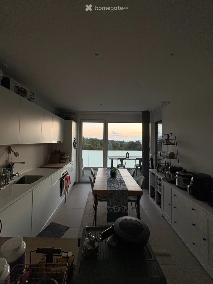 Stunning 5-Room Apartment with Panoramic Views in Bellevue