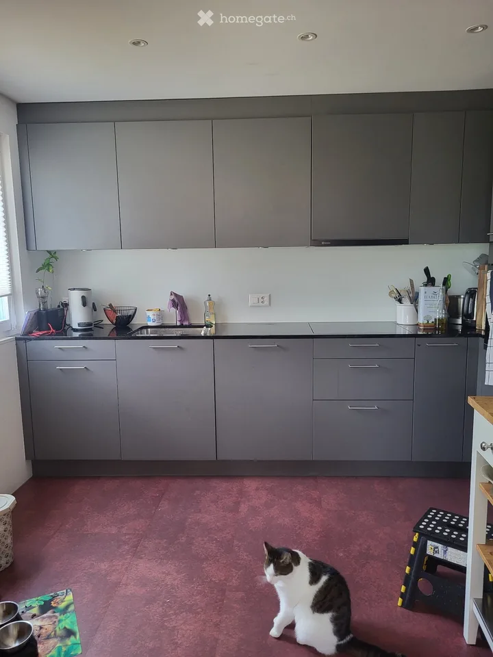 Zimmer für Wochenaufenthalterin (nur Frau) in Thun