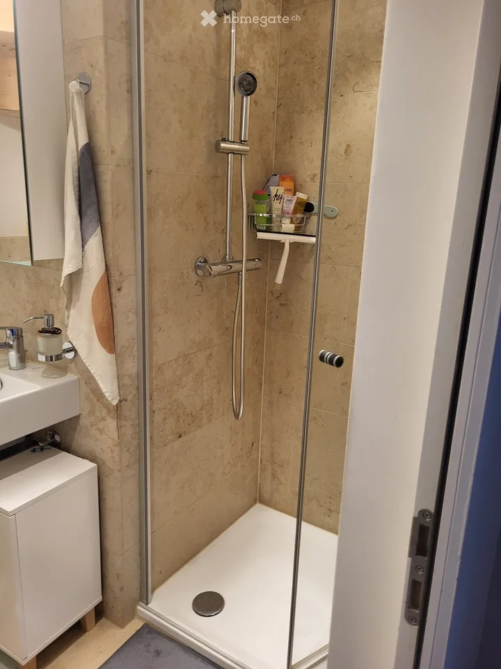 Zimmer für Wochenaufenthalterin (nur Frau) in Thun