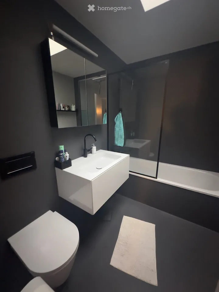 Casa a schiera moderna di 6,5 locali con giardino e vista lago a Hünenberg See