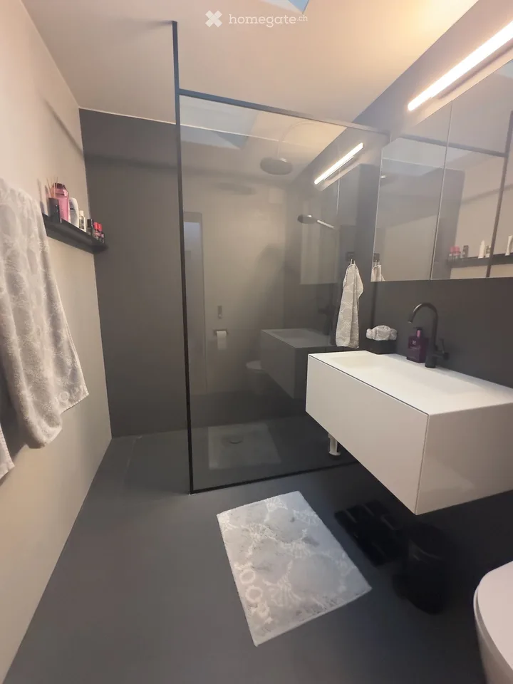 Casa a schiera moderna di 6,5 locali con giardino e vista lago a Hünenberg See