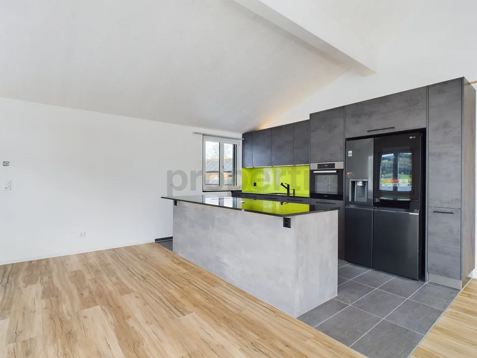 Appartement de toit exclusif de 6,5 pièces avec terrasse sur le toit à Neftenbach