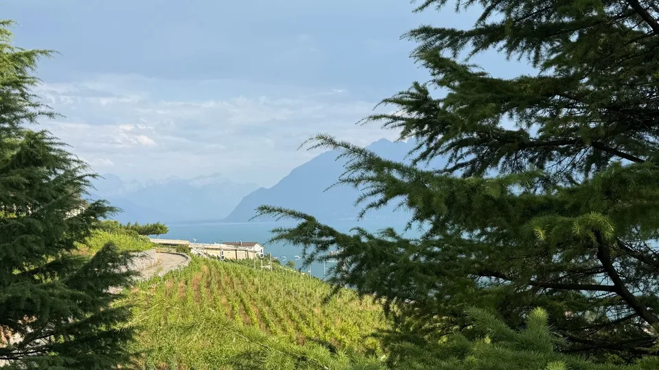 Bright villa of standing in an exceptional setting in Grandvaux, with a view of the lake and the vineyards