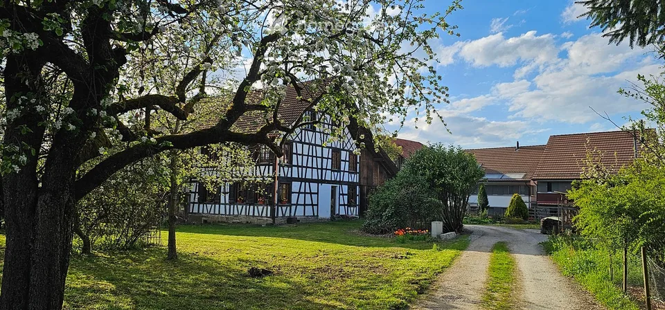Charmantes Fachwerkhaus mit viel Ausbaupotential – liebevoll renoviert in Rickenbach Sulz