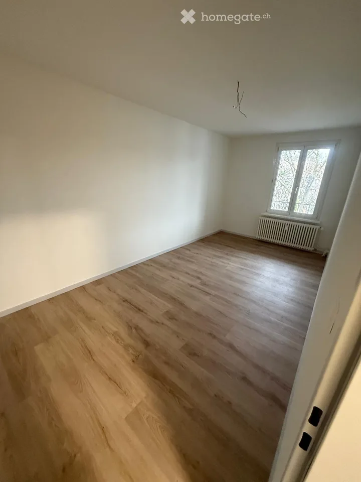 Incantevole appartamento di 4 locali in un edificio storico con 2 balconi a Basilea – disponibile da settembre 2026