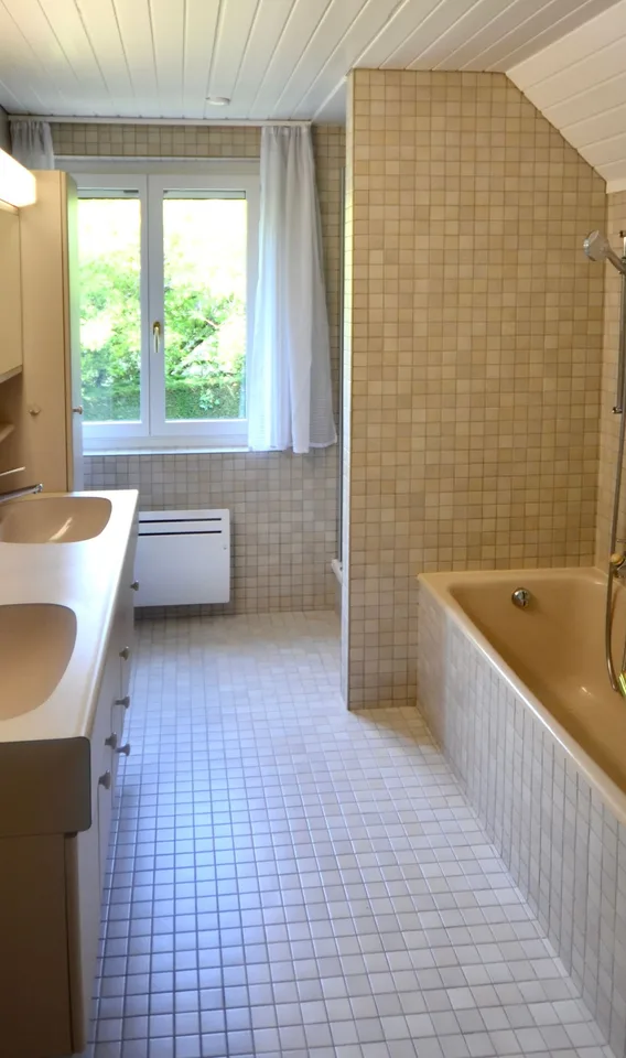 ZWEI VILLEN AM UFER DES GENFERSEES, MIT PRIVATZUGANG ZUM SEE