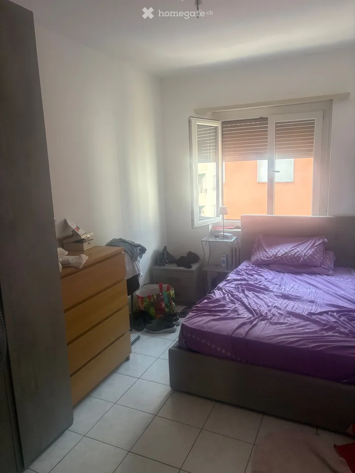 Cerco subentrante dal 1 novembre