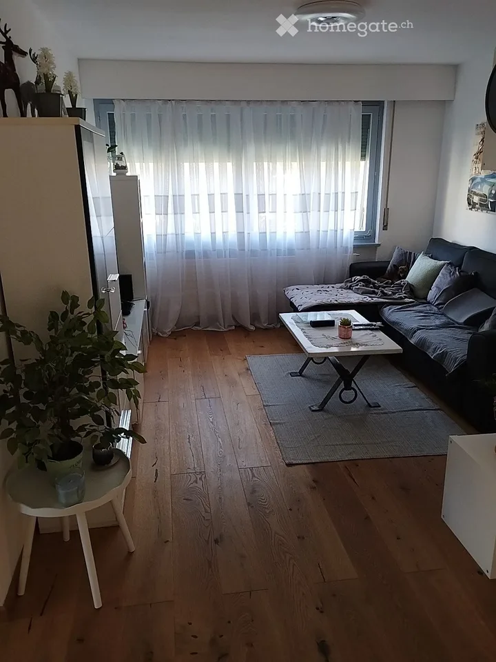 Charming 3-room apartment