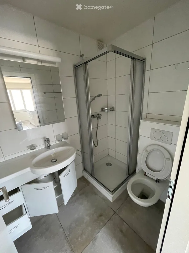 Prächtiges 2,5-Zimmer-Wohnung mit Terrasse und sehr hell