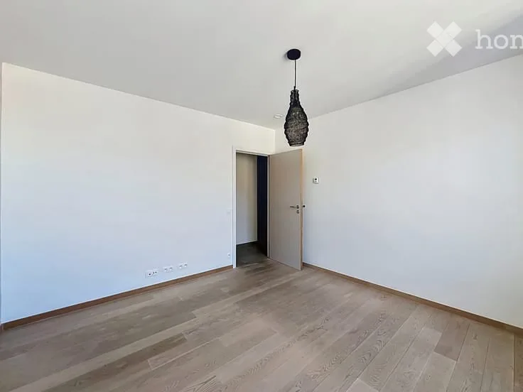 Charming 45 m² studio for rent – Avenue de Champel, Geneva