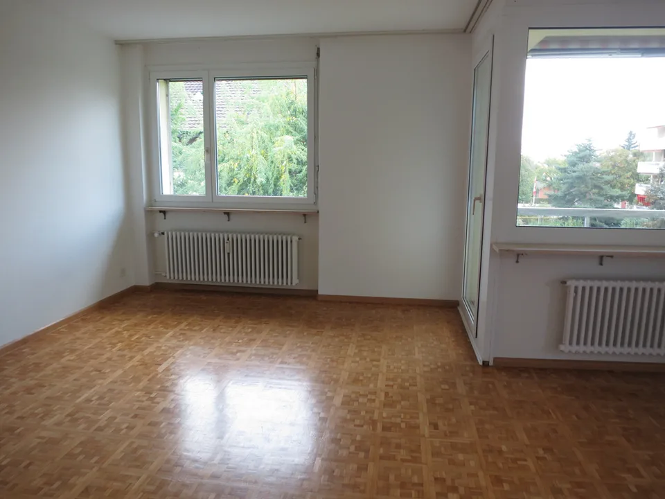 Beautiful 3.5-room apartment near Hardwald