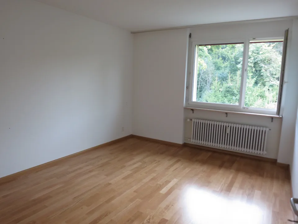 Beautiful 3.5-room apartment near Hardwald