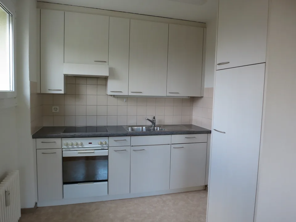 Beautiful 3.5-room apartment near Hardwald