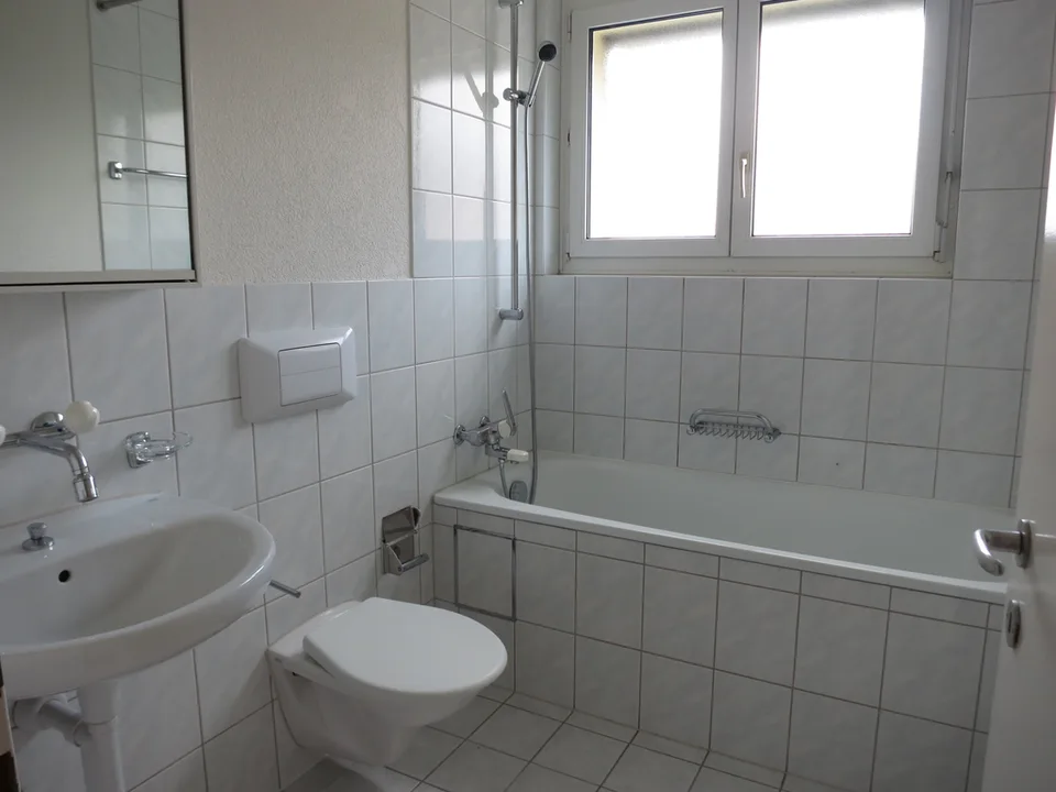 Beautiful 3.5-room apartment near Hardwald
